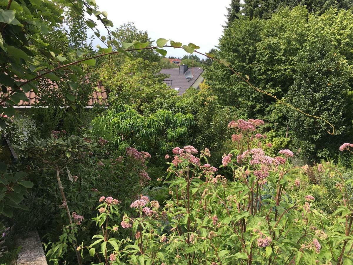 Landhaus Almyssen Alsbach Bagian luar foto